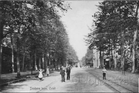 Donkerelaan-1915-004.jpg - De Donkerelaan heette zo omdat er veel bomen stonden en het er altijd donker was. Links ligt het Walkartpark en rechts villa Alfintrowate, gebouwd in 1913. Op de achtergrond is de Nieuwe Sociëteit te zien, gelegen op de hoek van de 2e Hoogeweg. Opname van 1912.