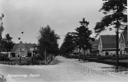 Dijnselweg-1938-002.jpg - Hoek Dijnselweg, Panweg. Het eerste deel van de Dijnselweg werd vroeger “het Hof van Brussel” genoemd. Foto gemaakt in 1934.