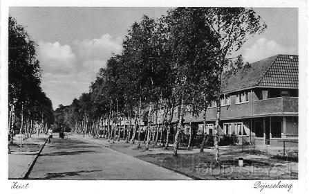 Dijnsw-1930-001.jpg - Rond 1900 werden de woningen aan de Dijnselweg aangeduid met “het Hof van Brussel” naar de toenmalige bewoner van Wijk D. (nr. 224) (nu nr.24), Jan van Brussel (1851-1920). Foto gemaakt in 1930.