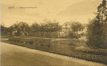 Schaerwpl-1925-001.jpg - De naam “Schaarweijderparklaan” werd in 1928 veranderd in “Boulevard”. Rechts op de afbeelding is huize “de Zonnebloem” te zien aan de Boulevard (nr. 7). Deze villa, welke in 1910 gebouwd werd, staat nog altijd op de hoek Boulevard, Lindenlaan. Foto gemaakt in 1925.