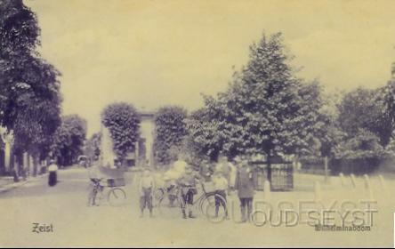 Marktplein-1909-001.jpg - 1e Hogeweg bij het Marktplein. De Wilhelminaboom is geplant ter gelegenheid van de geboorte van prinses Wilhelmina op 31 augustus 1880. Het ijzeren hek moet de boom, die er nog steeds staat, beschermen. Opname van 1907