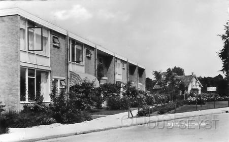 Fazantenln-1961-001.jpg - De Fazantenlaan is één van de wegen in de vogelwijk. Net als andere Hoendersoorten zoals: Fazantenplein, Korhoenlaan, Kwartellaan en de Patrijzenlaan zijn deze namen door de gemeenteraad in 1956 bepaald voor nieuwe wegen in het bestemmingsplan Kroostweg. Foto gemaakt in 1961.